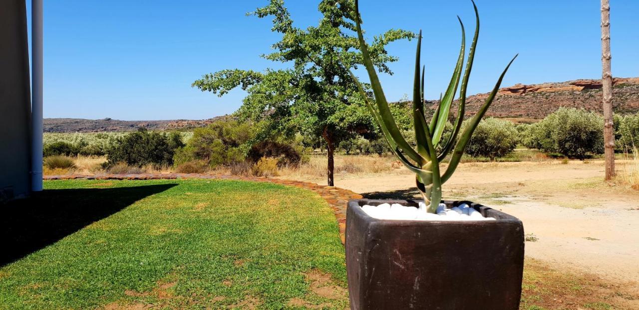 De Pakhuys * Clanwilliam